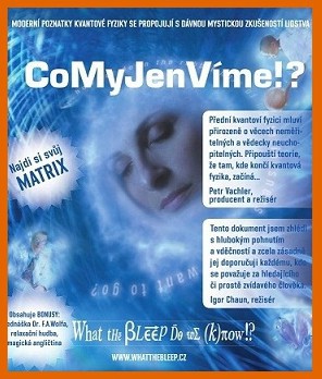 Co my jen víme/What the bleep Do We (K)now!? (2004)